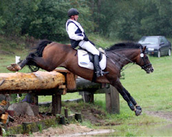 Mit dem Halbbluthengst Mighty Magic wurde Andreas Dibowski Zweiter im CIC** von Sahrendorf: Fotos: Lohrmann